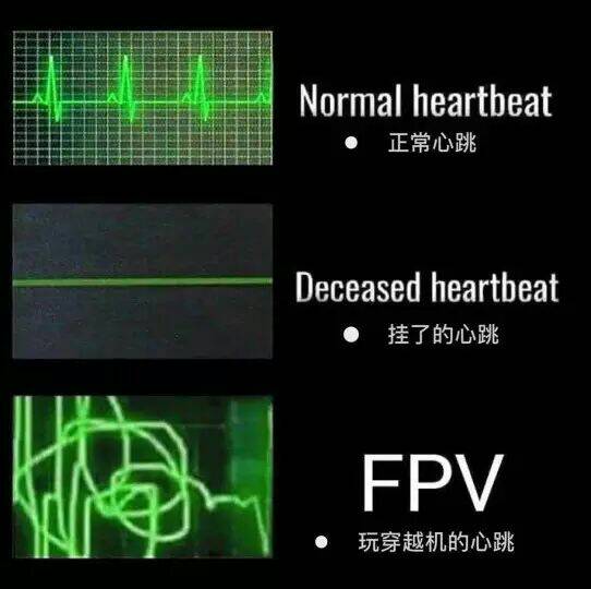 参考参考 世界参考消息 作者:jcrx 646 