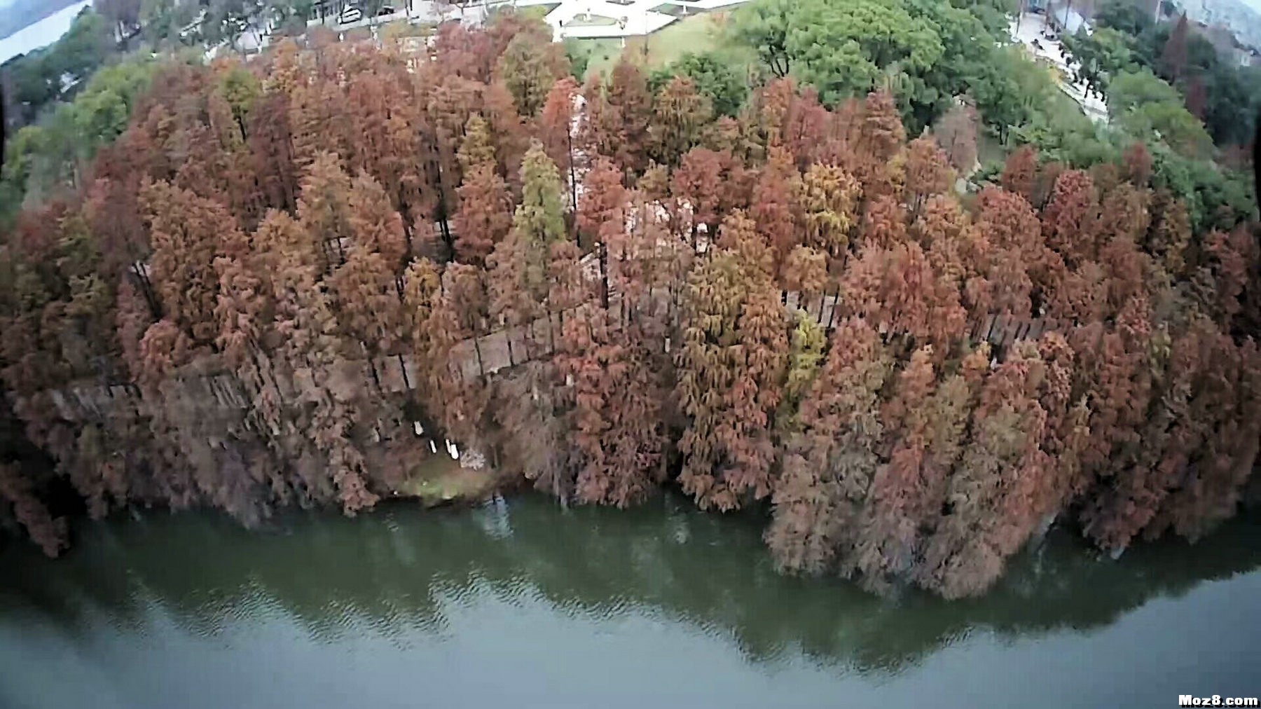 来几张湖边的风景 一张风景图片 作者:changchieh 9551 