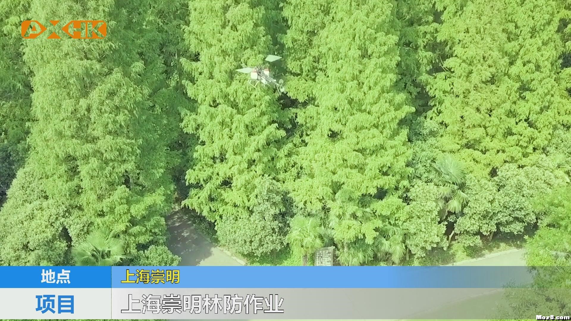 林业病虫害防治 卓翼农服在行动 无人机,直升机 作者:沈阳卓翼航空 5071 