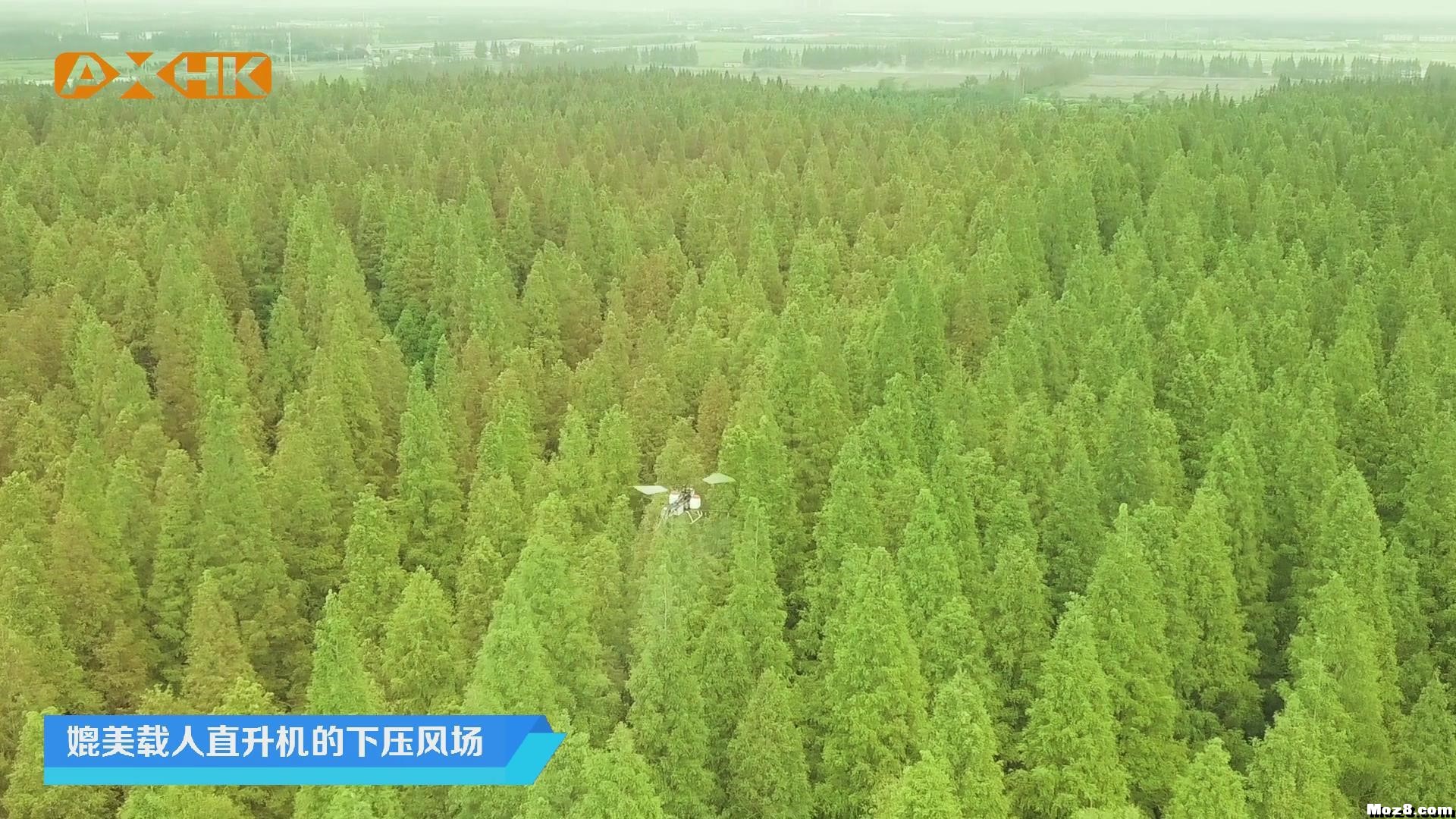 林业病虫害防治 卓翼农服在行动 无人机,直升机 作者:沈阳卓翼航空 309 