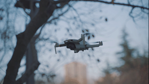 DJI Mini 2使用初体验 无人机,图传,dji,大疆,航拍 作者:chinaz1919 4790 
