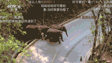 航拍中国第三季无人机航拍导演解析 无人机,直升机,航拍 作者:笑笑生 725 